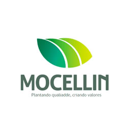 MOCELLIN